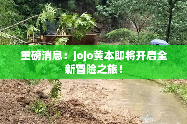 重磅消息：jojo黄本即将开启全新冒险之旅！
