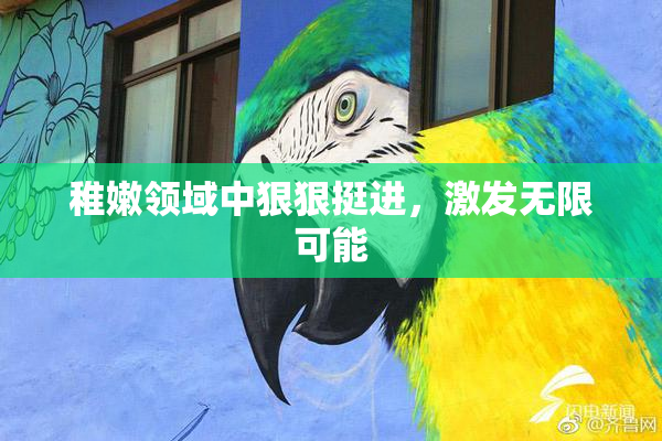 稚嫩领域中狠狠挺进，激发无限可能