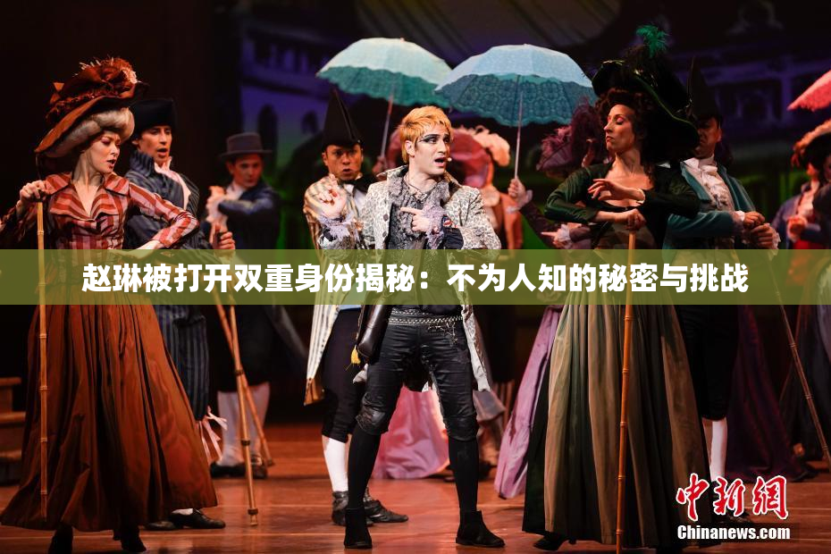 赵琳被打开双重身份揭秘：不为人知的秘密与挑战