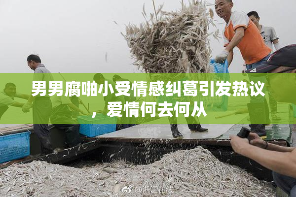 男男腐啪小受情感纠葛引发热议，爱情何去何从