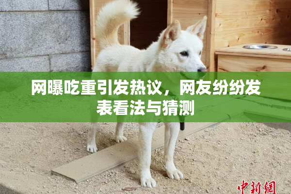 网曝吃重引发热议，网友纷纷发表看法与猜测