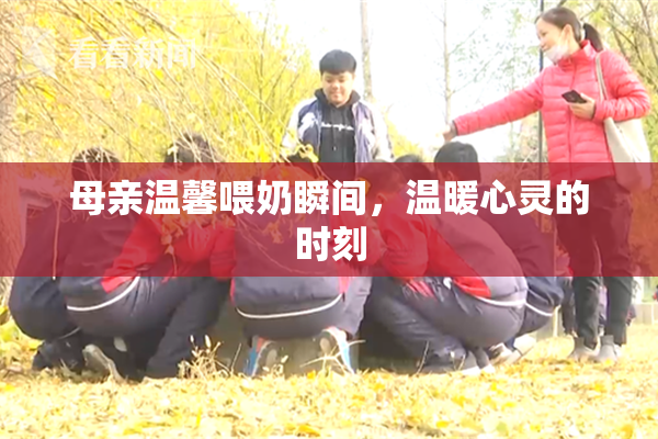 母亲温馨喂奶瞬间，温暖心灵的时刻