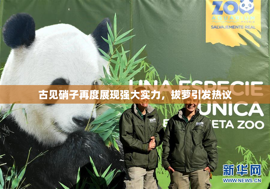 古见硝子再度展现强大实力，拔萝引发热议