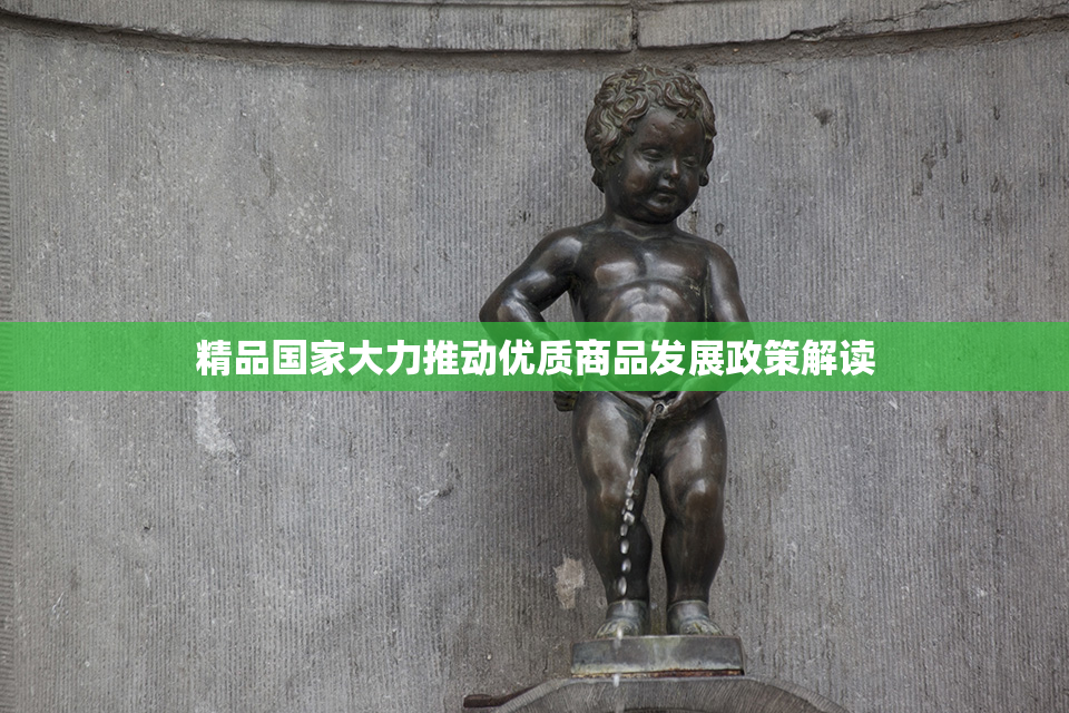 精品国家大力推动优质商品发展政策解读