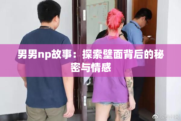 男男np故事：探索壁面背后的秘密与情感