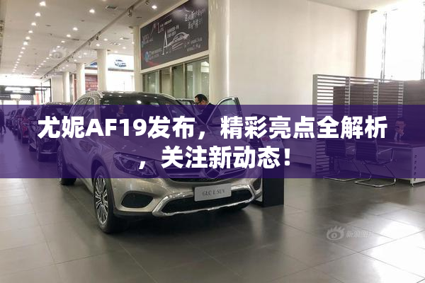 尤妮AF19发布，精彩亮点全解析，关注新动态！