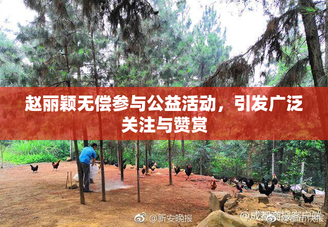 赵丽颖无偿参与公益活动，引发广泛关注与赞赏