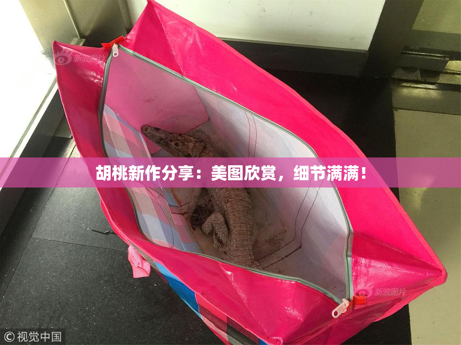 胡桃新作分享：美图欣赏，细节满满！