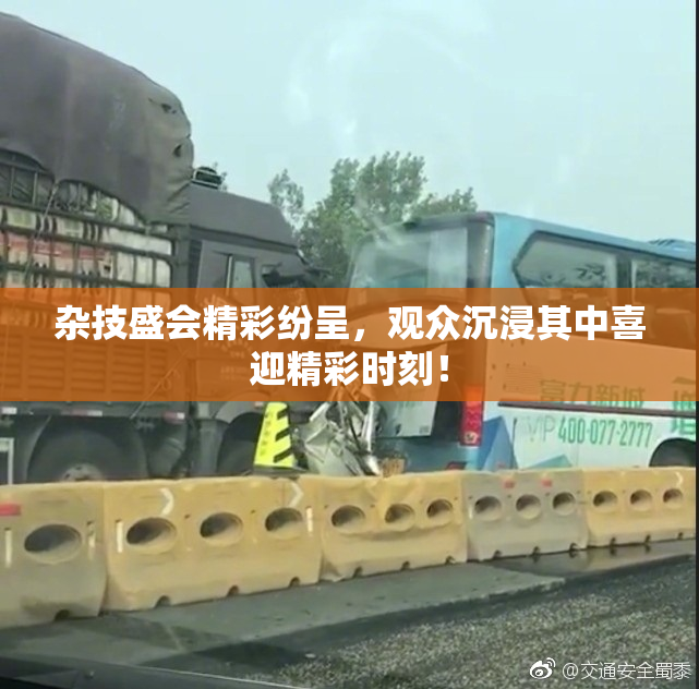 杂技盛会精彩纷呈，观众沉浸其中喜迎精彩时刻！