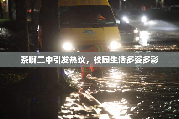 茶啊二中引发热议，校园生活多姿多彩