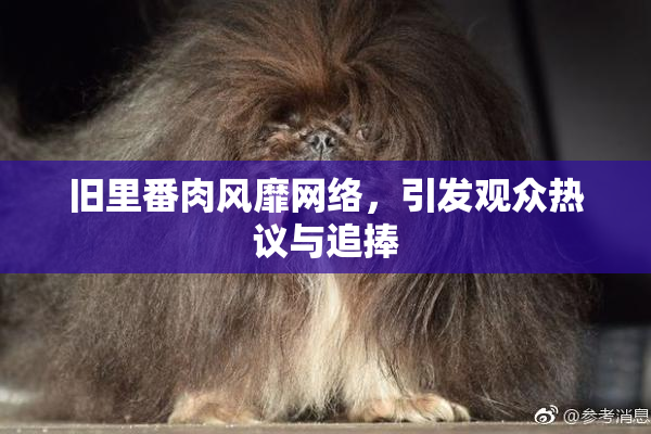 旧里番肉风靡网络，引发观众热议与追捧