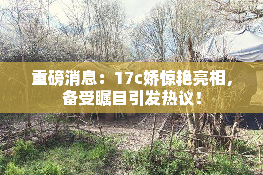 重磅消息：17c娇惊艳亮相，备受瞩目引发热议！