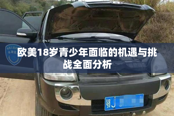 欧美18岁青少年面临的机遇与挑战全面分析