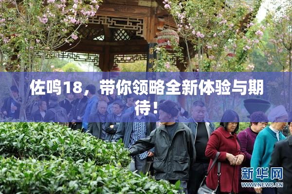 佐鸣18，带你领略全新体验与期待！