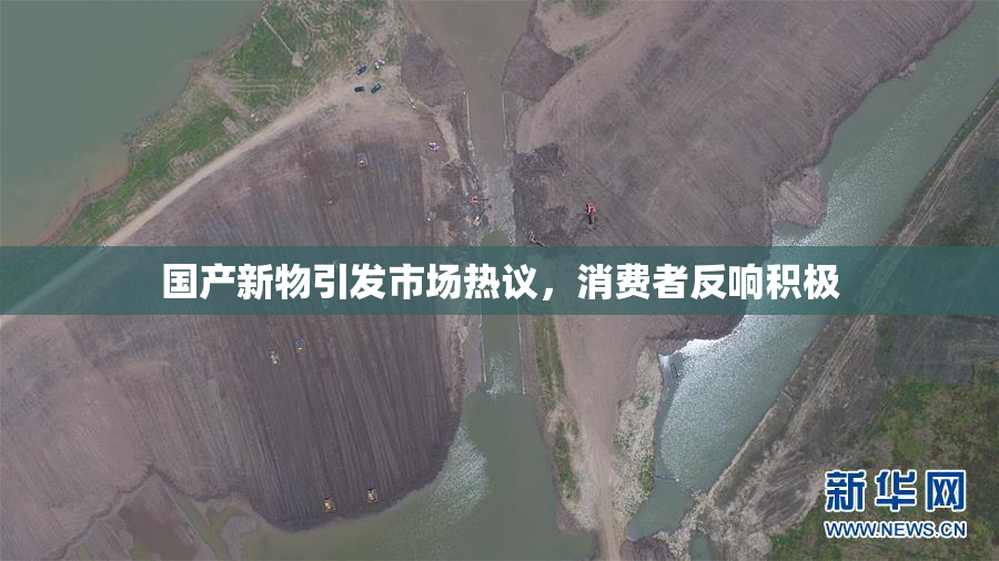 国产新物引发市场热议，消费者反响积极