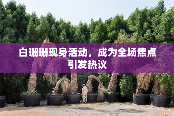白珊珊现身活动，成为全场焦点引发热议