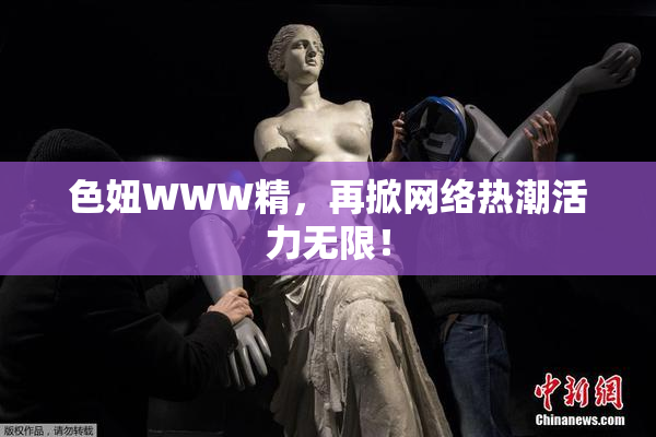 色妞WWW精，再掀网络热潮活力无限！