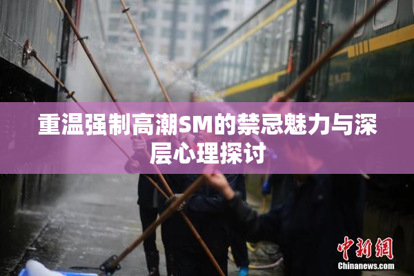 重温强制高潮SM的禁忌魅力与深层心理探讨