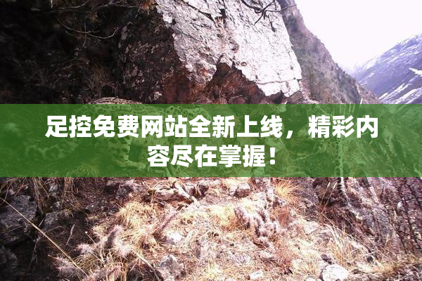 足控免费网站全新上线，精彩内容尽在掌握！