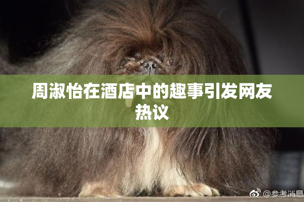 周淑怡在酒店中的趣事引发网友热议