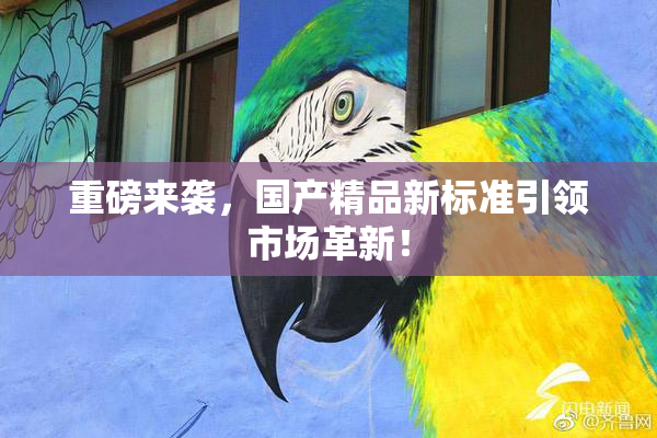 重磅来袭，国产精品新标准引领市场革新！