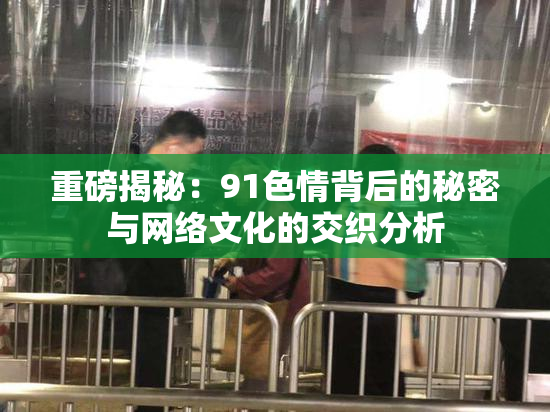 重磅揭秘：91色情背后的秘密与网络文化的交织分析