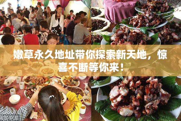 嫩草永久地址带你探索新天地，惊喜不断等你来！