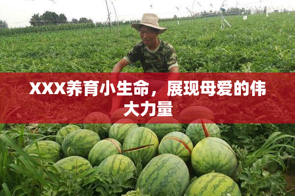 XXX养育小生命，展现母爱的伟大力量