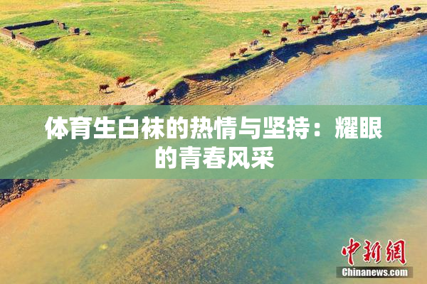 体育生白袜的热情与坚持：耀眼的青春风采