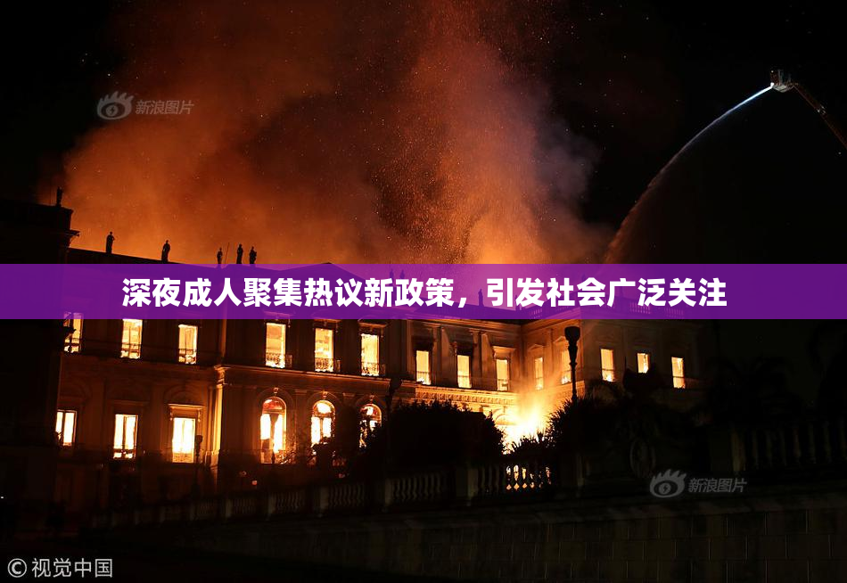 深夜成人聚集热议新政策，引发社会广泛关注