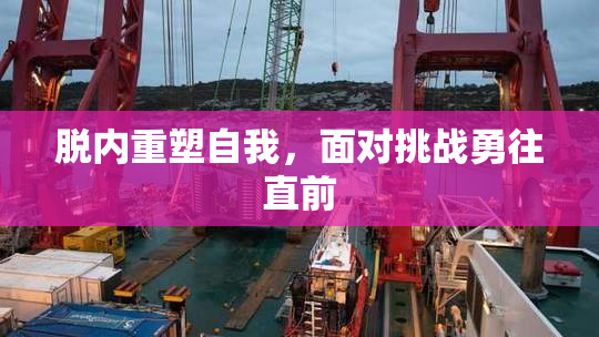 脱内重塑自我，面对挑战勇往直前