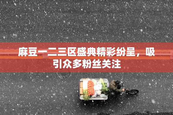 麻豆一二三区盛典精彩纷呈，吸引众多粉丝关注