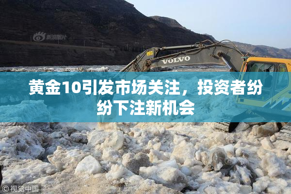 黄金10引发市场关注，投资者纷纷下注新机会
