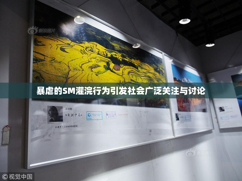 暴虐的SM灌浣行为引发社会广泛关注与讨论