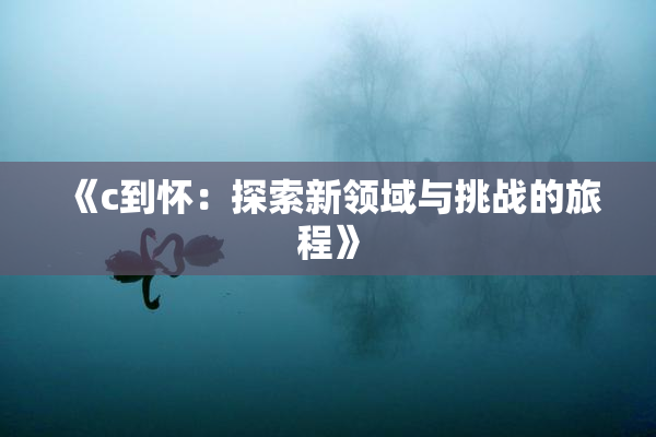 《c到怀：探索新领域与挑战的旅程》