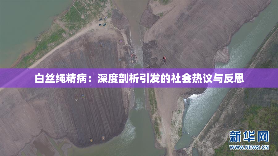白丝绳精病：深度剖析引发的社会热议与反思