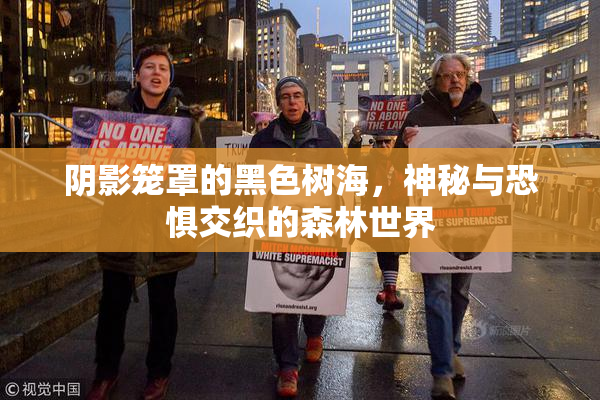 阴影笼罩的黑色树海，神秘与恐惧交织的森林世界