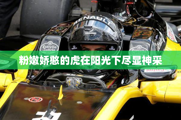 粉嫩娇憨的虎在阳光下尽显神采