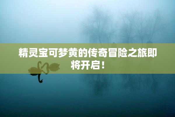 精灵宝可梦黄的传奇冒险之旅即将开启！