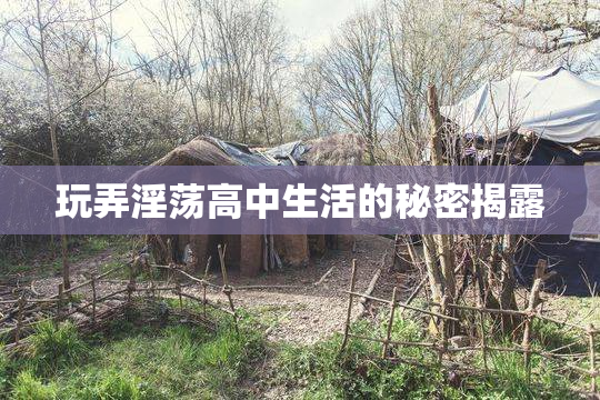 玩弄淫荡高中生活的秘密揭露
