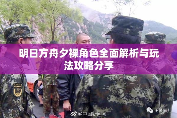明日方舟夕裸角色全面解析与玩法攻略分享