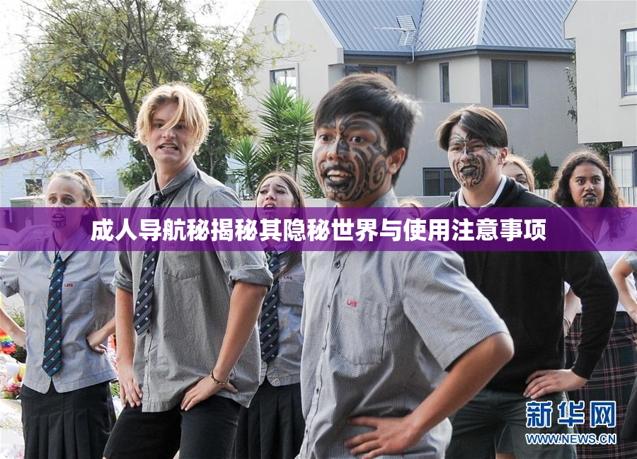 成人导航秘揭秘其隐秘世界与使用注意事项