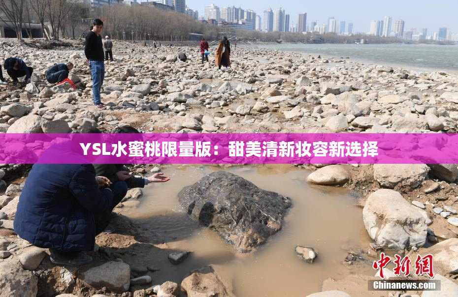YSL水蜜桃限量版：甜美清新妆容新选择