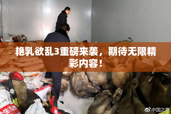 艳乳欲乱3重磅来袭，期待无限精彩内容！