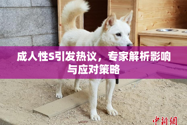 成人性S引发热议，专家解析影响与应对策略