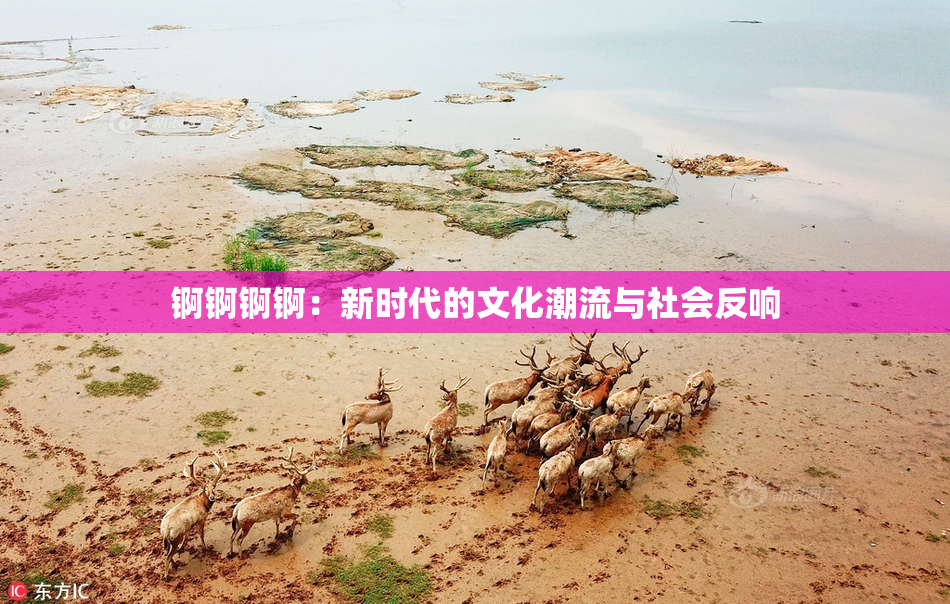 锕锕锕锕：新时代的文化潮流与社会反响