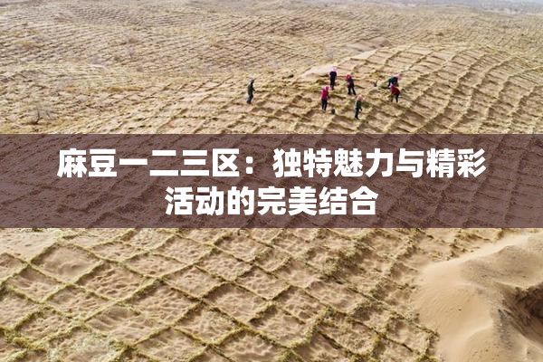 麻豆一二三区：独特魅力与精彩活动的完美结合