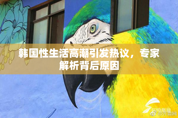 韩国性生活高潮引发热议，专家解析背后原因