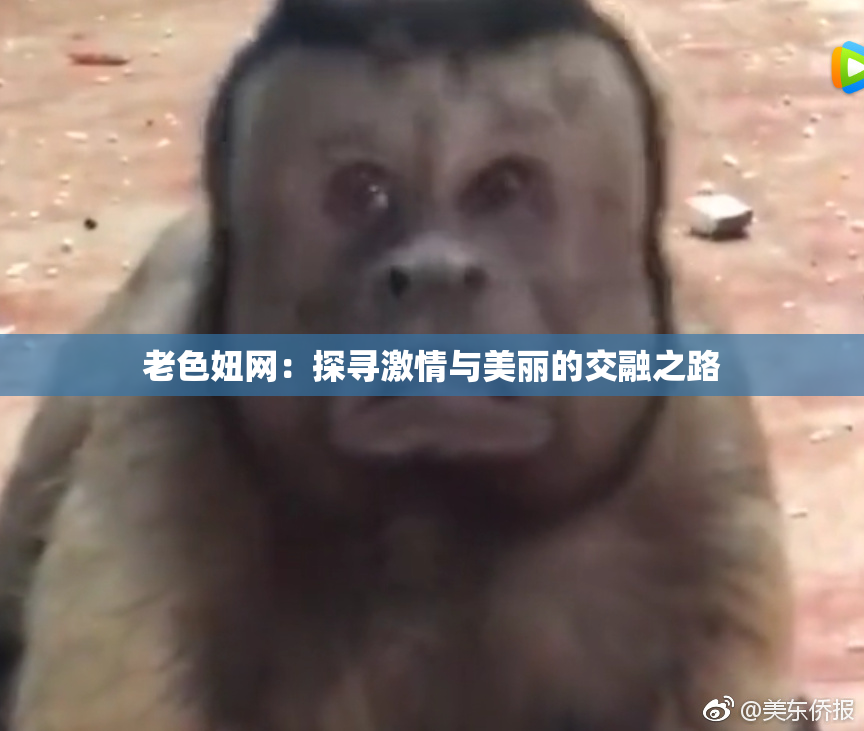 老色妞网：探寻激情与美丽的交融之路