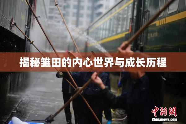 揭秘雏田的内心世界与成长历程